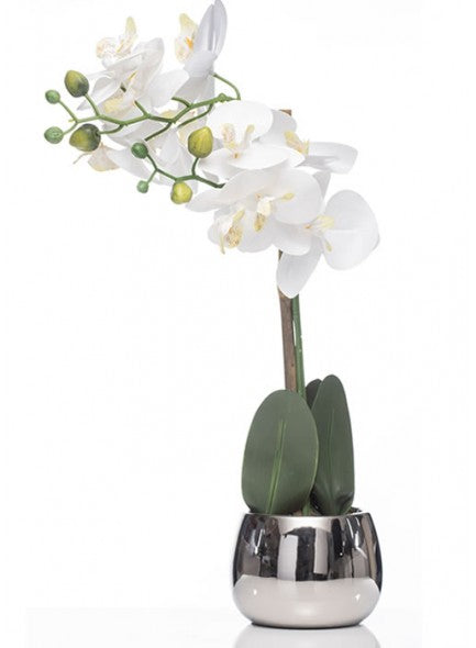The Grange Collection White Orchid in Silver Pot 13X9CM