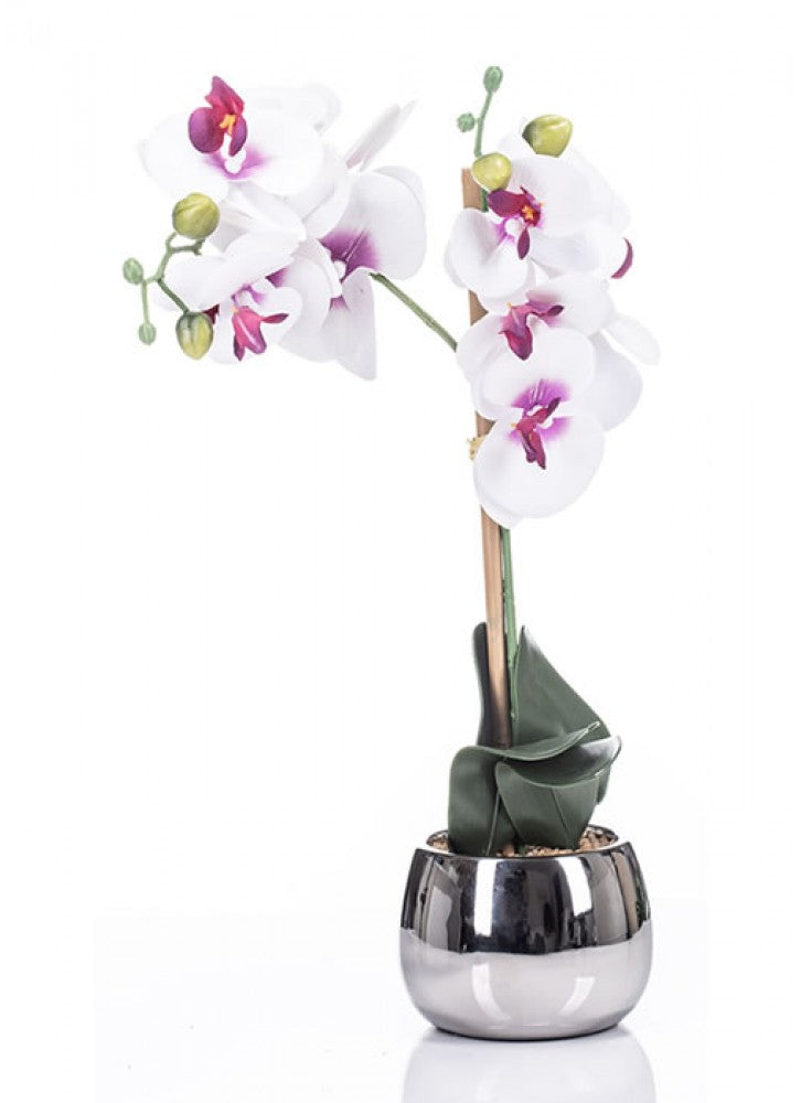 The Grange Collection Cerise Orchid in Silver Pot 13X9CM