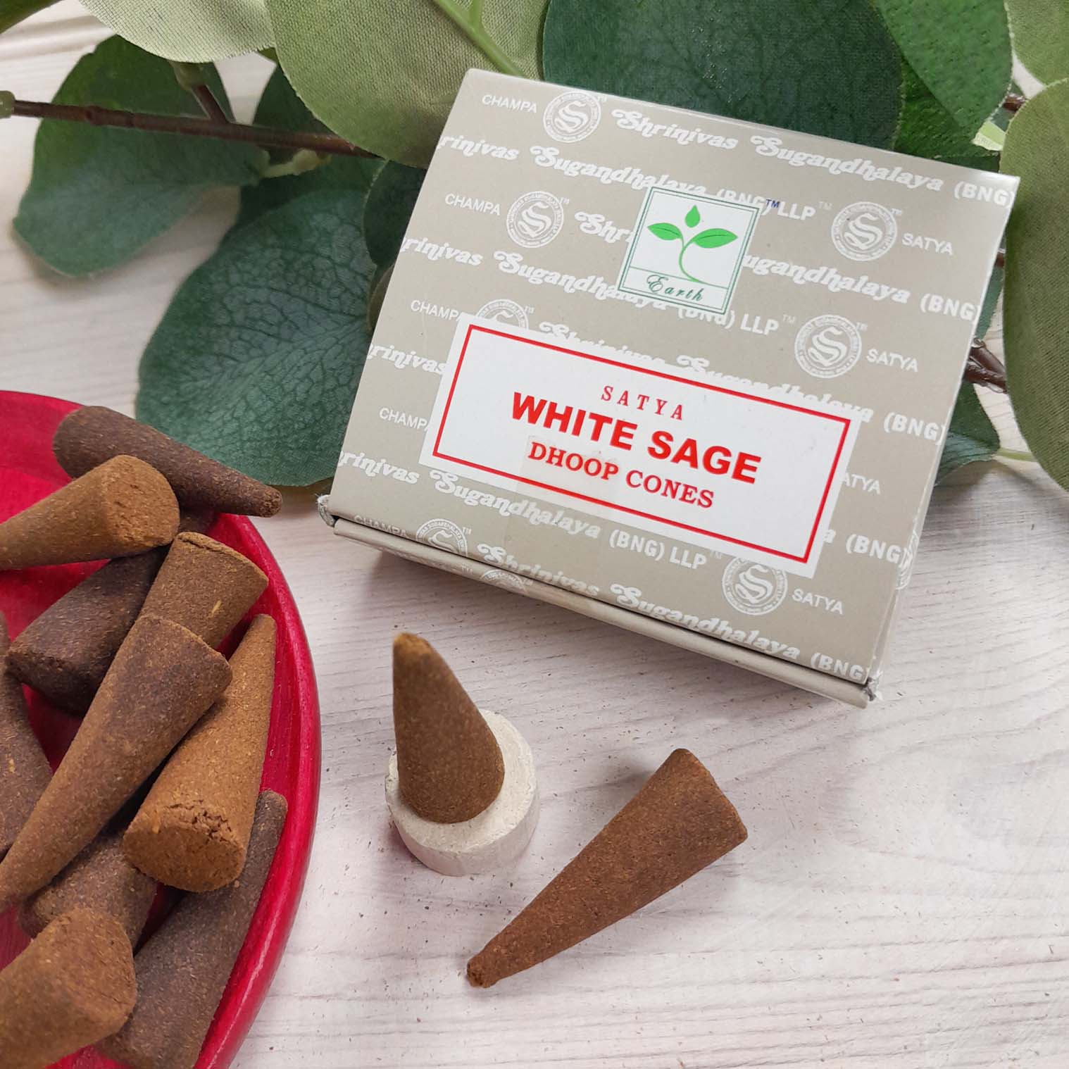 White Sage Dhoop Cones by Satay