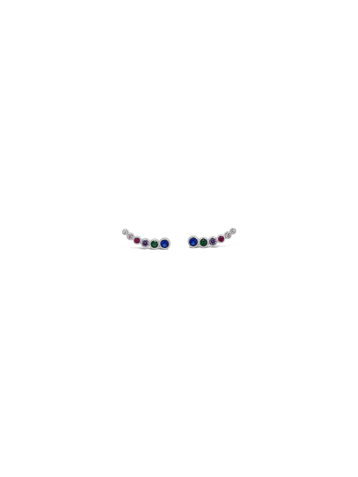 Silver coloured stones creeping earrings