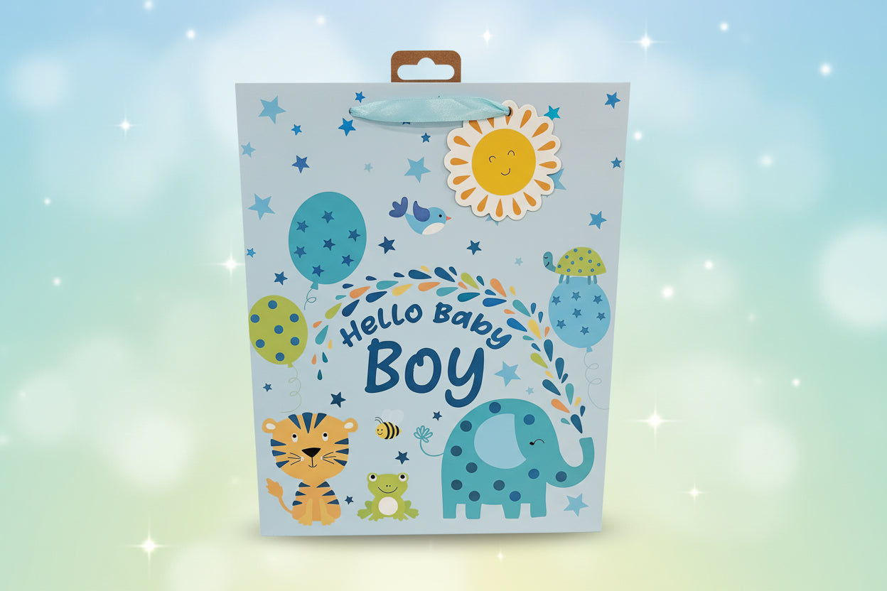 Baby boy gift bag