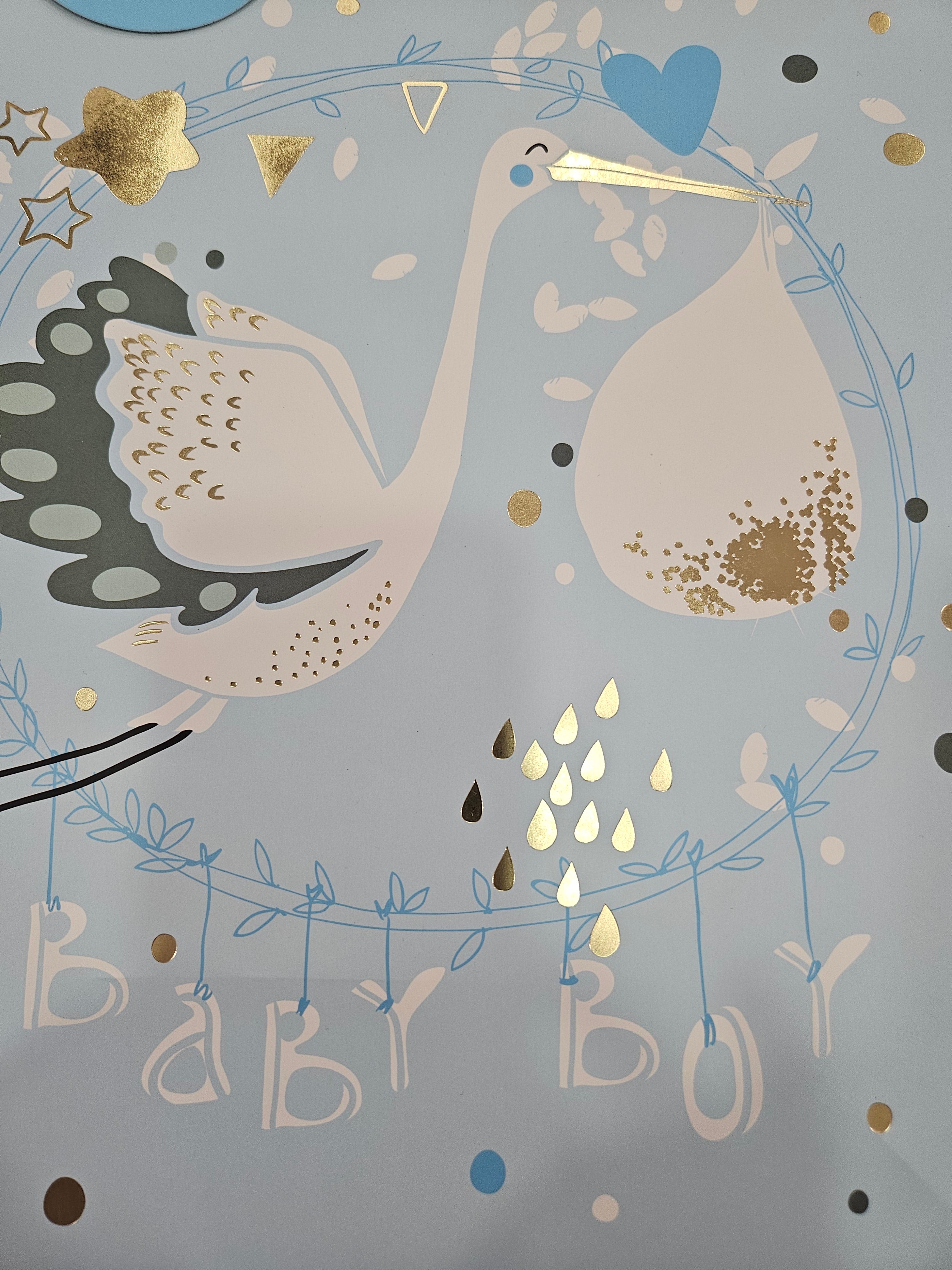 Baby boy gift bag