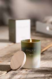 Galway Fig Tree Candle