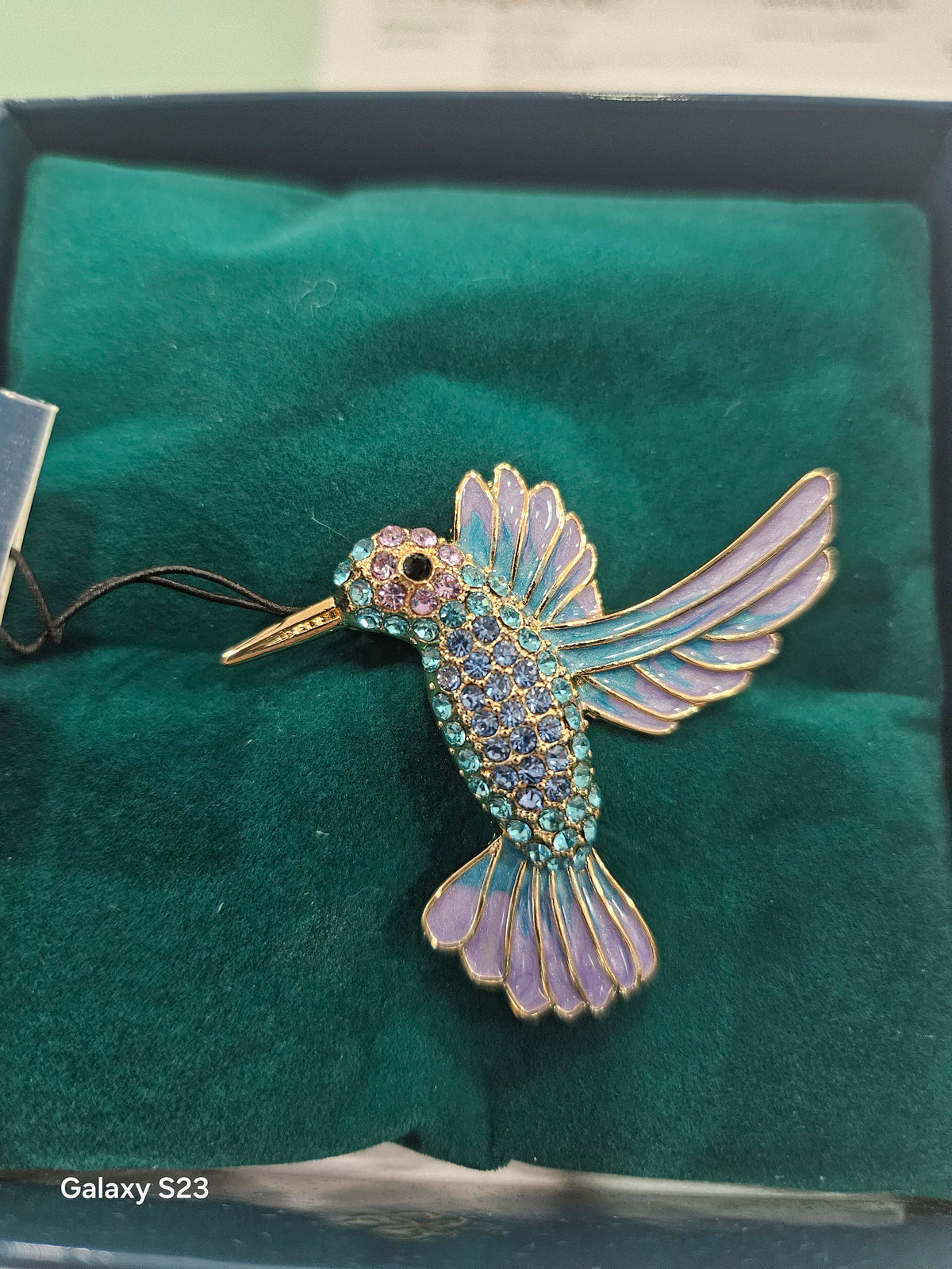 Kingfisher in flight