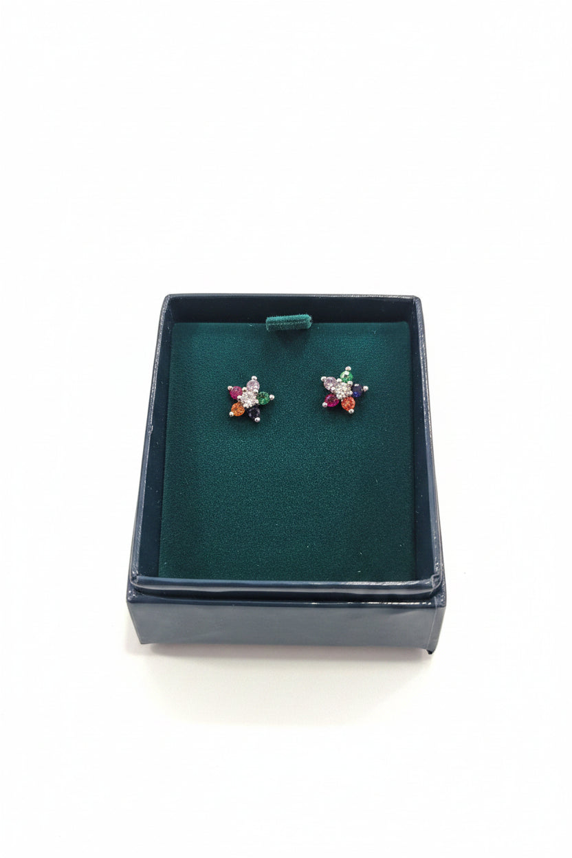Coloured Star Earrings