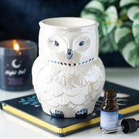 Owl Shaper Iridescent Oil& Wax Burner