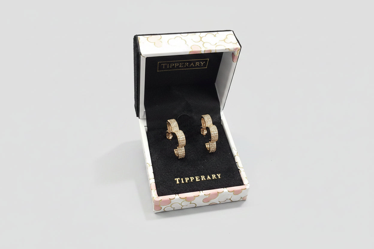 Tipperary Goldplated Earrings inset with CZ stones