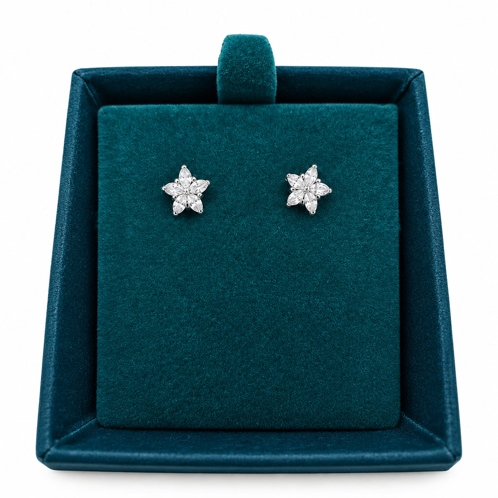 Small star earrings