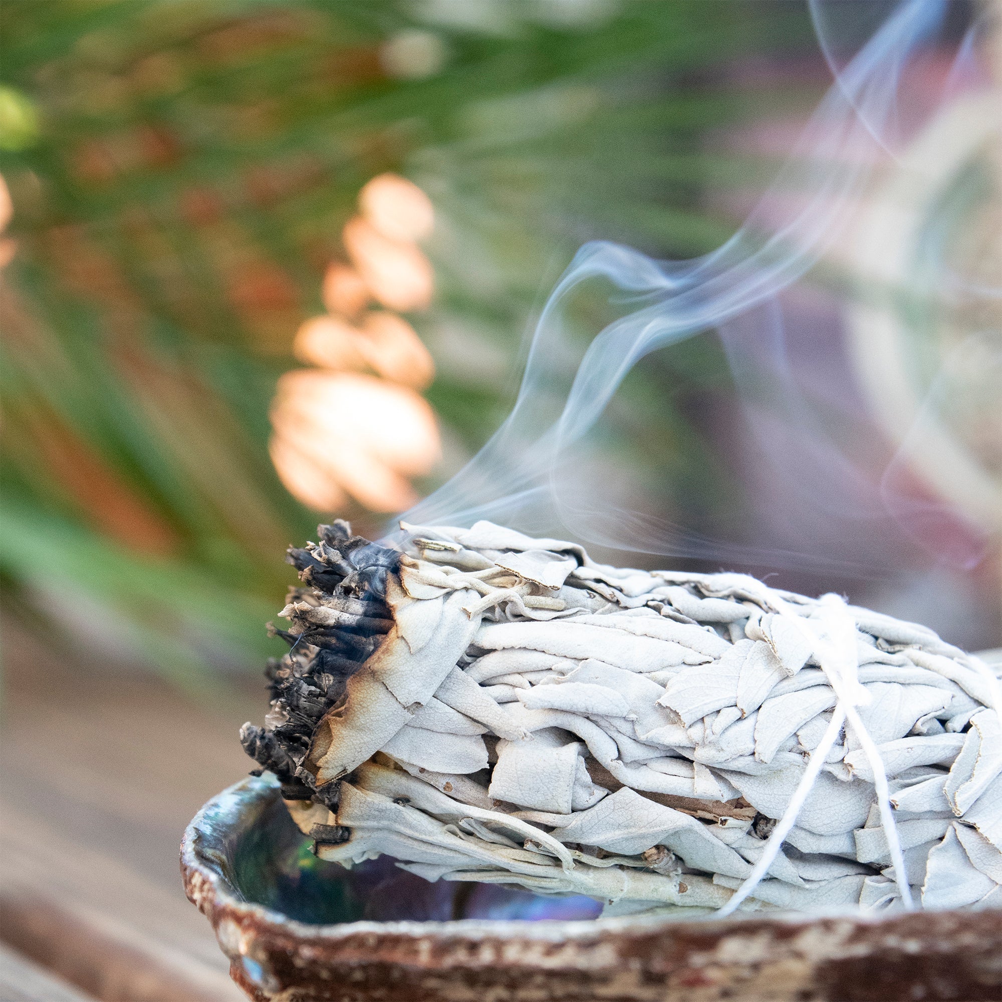 Smudge sage sticks