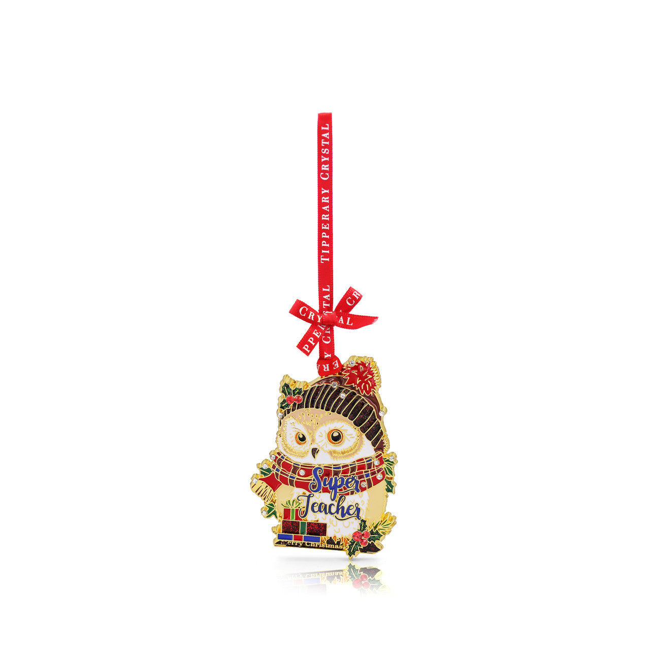 Super Teacher Christmas Decoration