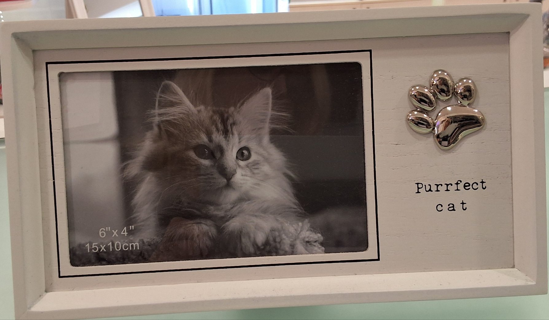 Cat Picture Frame