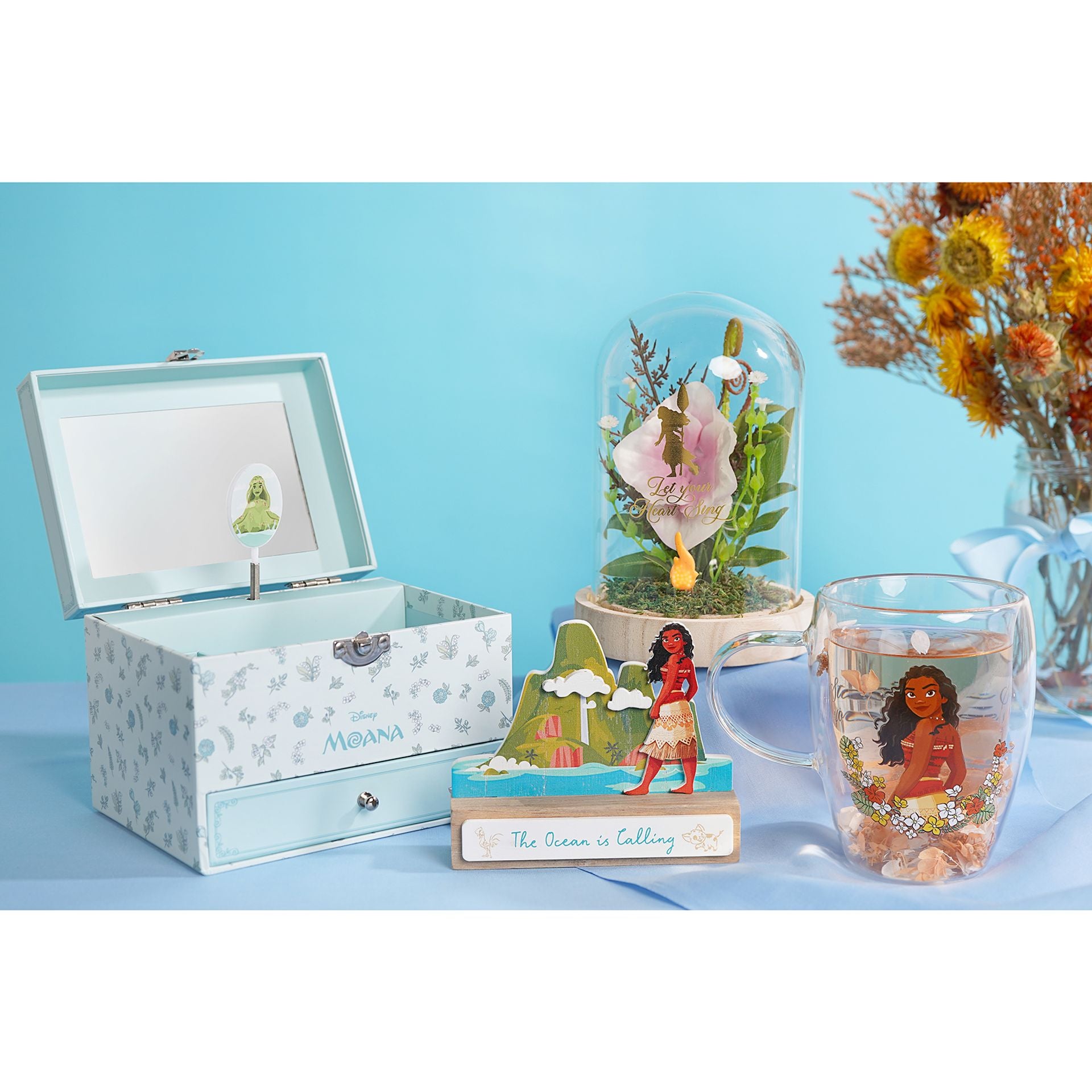 Moana Disney jewellery  box