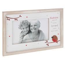 Robins  Appear Frame
