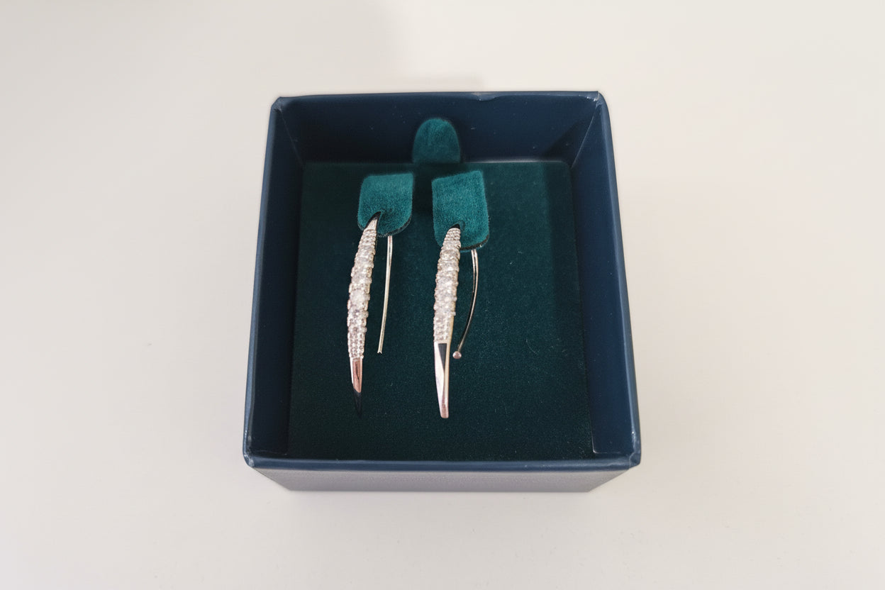 Silver Drop Earrings