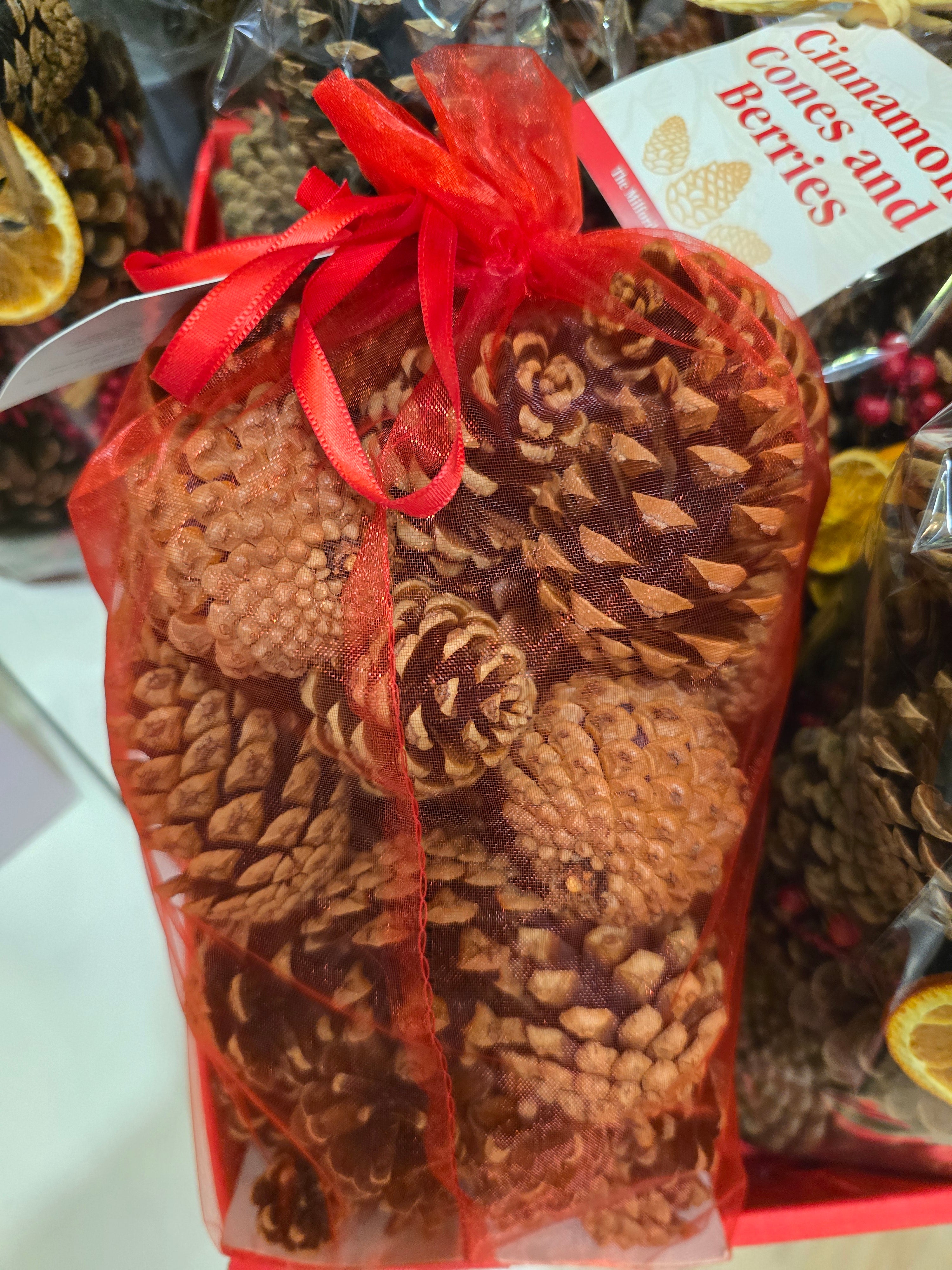 Scented pine cones winter spice