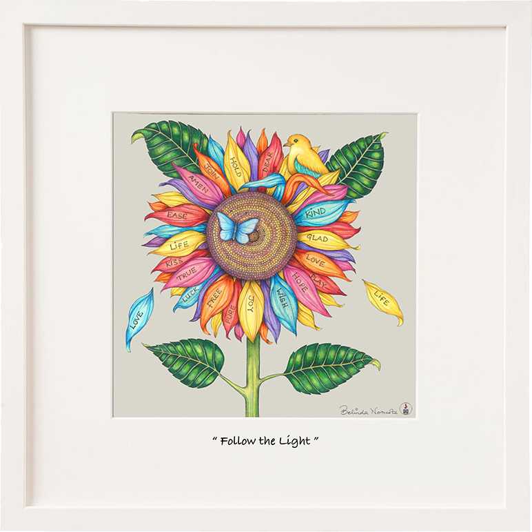 Belinda Northcote "Follow the light"