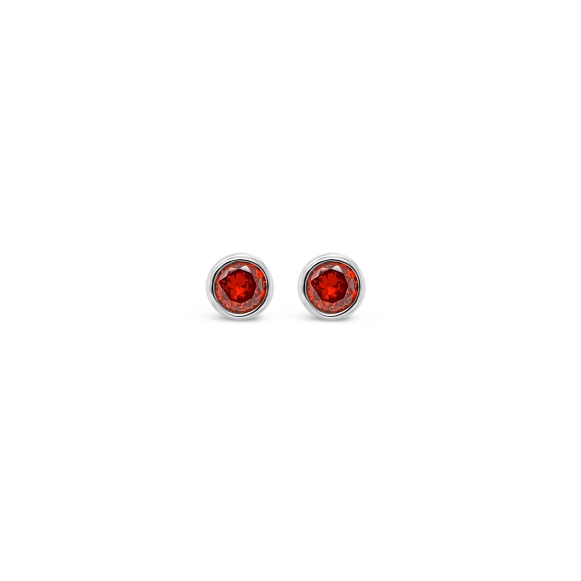 Absolute Sterling Silver January Birthstone Earrings