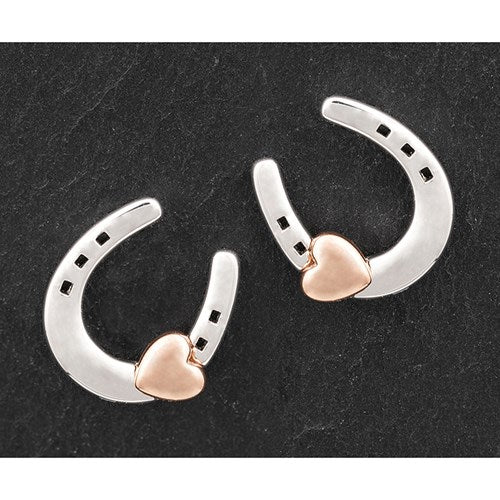 Equilibrium Horseshoe  Earrings