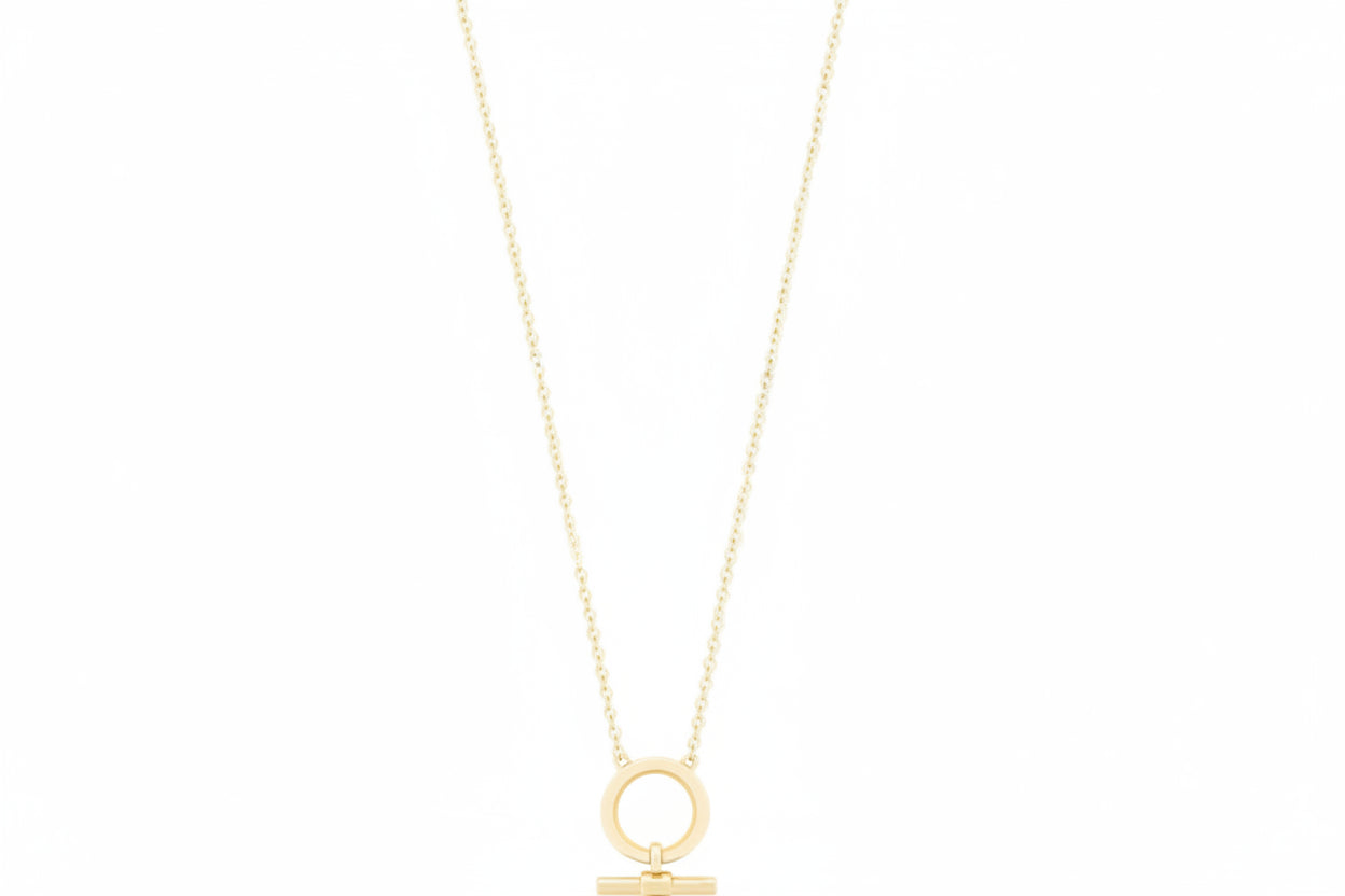 Tipperary Crystal CZ Circle & T Bar Pendant